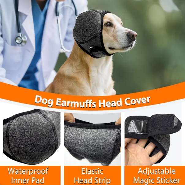 Dog Headband Relieves Anxiety & Reduces Shock