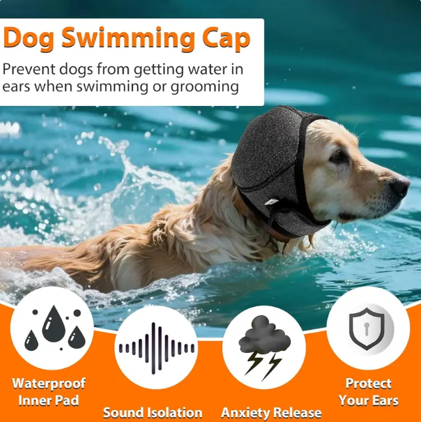 Dog Headband Relieves Anxiety & Reduces Shock