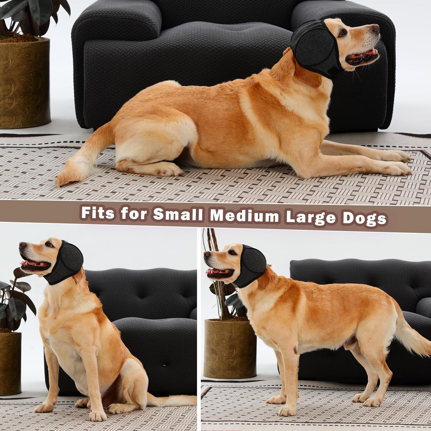 Dog Headband Relieves Anxiety & Reduces Shock